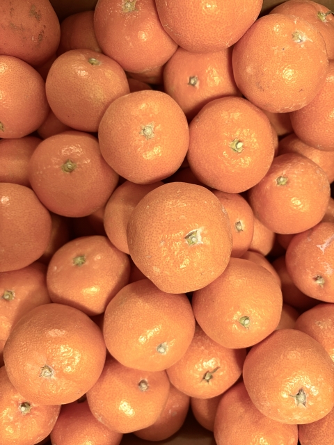 龍の薬膳part41 寒い季節の薬膳