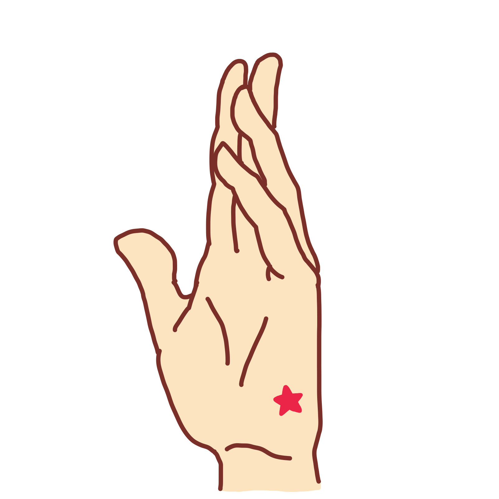 龍のツボPart2 腕骨