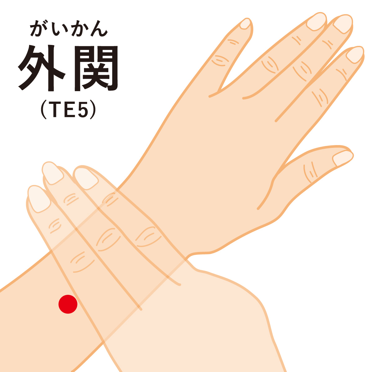 龍のツボ part4 外関
